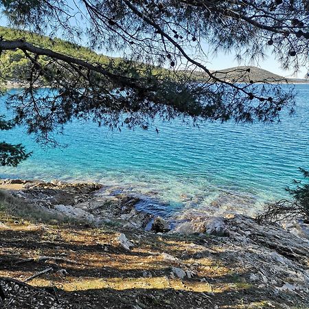 Villa Long Island Luxury Residence, Sali Dugi Otok-Private Parking,Next To Beach Exterior foto